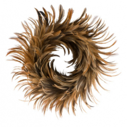 Peříčkový věnec 