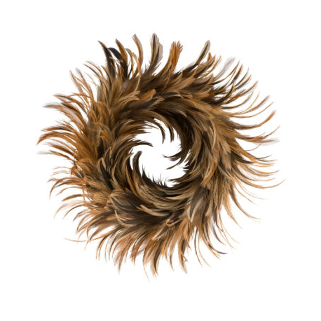 Peříčkový věnec 